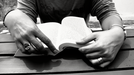 Image by kuzeyli, courtesy of Pixabay